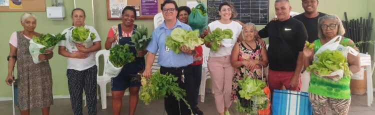 Improving the thermal resilience of informal occupations in the city of Belo Horizonte, Brazil